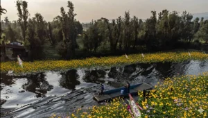 Mexico’s Ancestral Farming Practices
