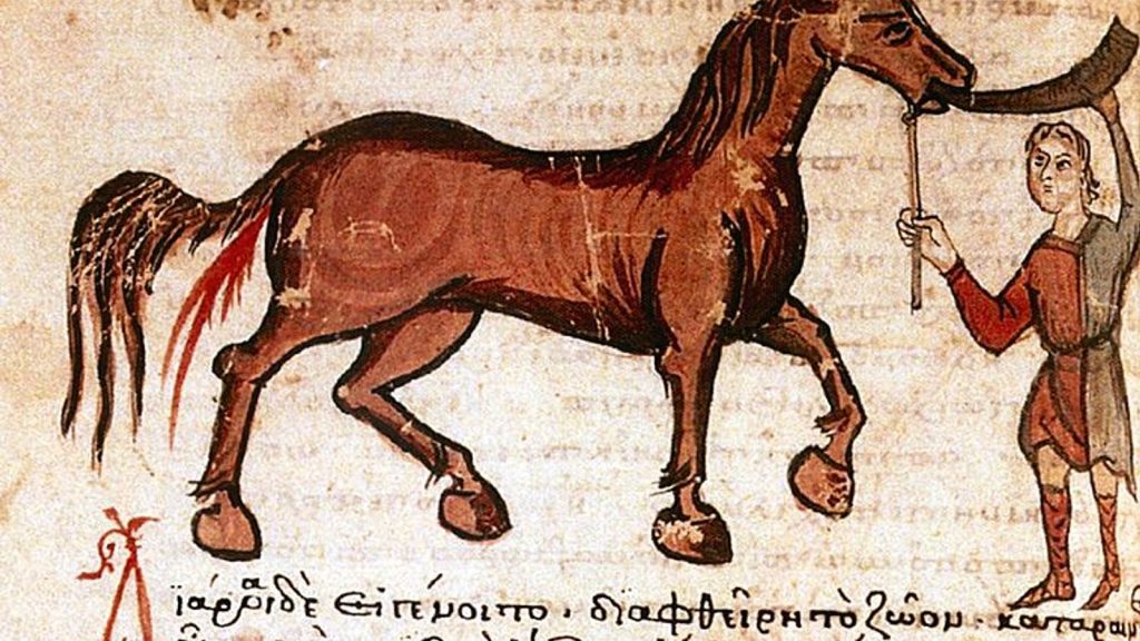 Veterinary Medicine